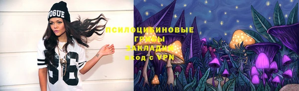 ALPHA PVP Покачи