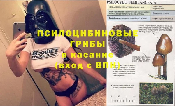 прущие крисы Покровск