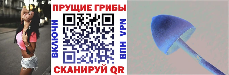 хочу   Каневская  Галлюциногенные грибы GOLDEN TEACHER 
